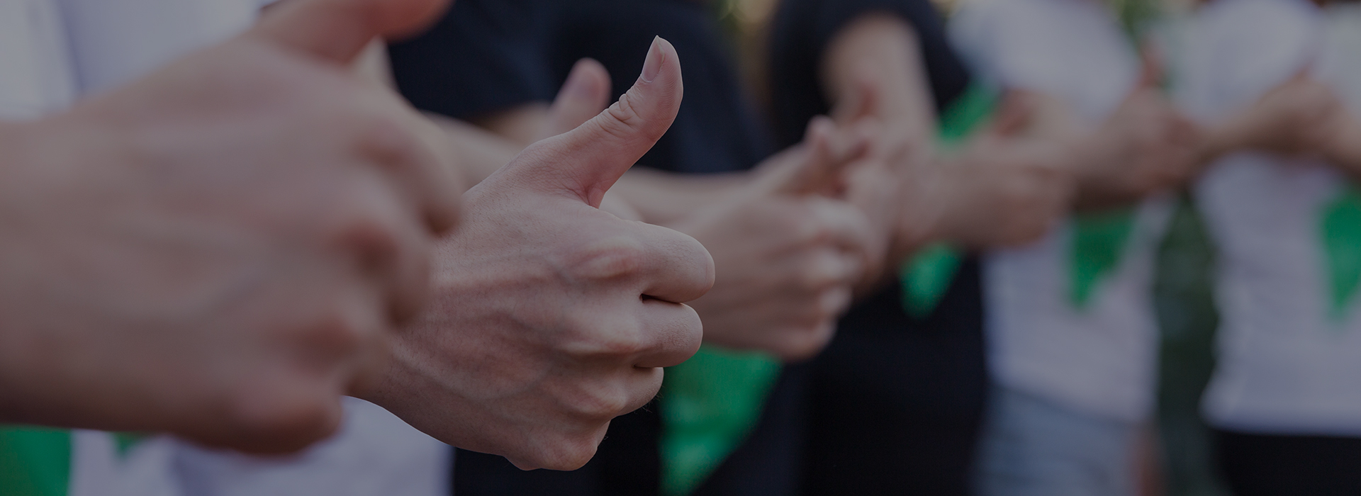 曾氏贵宾会官网